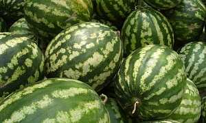 Правильный арбуз
