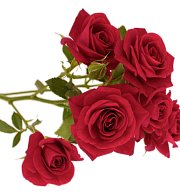 1 октября – День пожилого человека