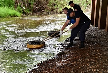 АО «Транснефть - Север» направило более 160 млн руб. на защиту окружающей среды